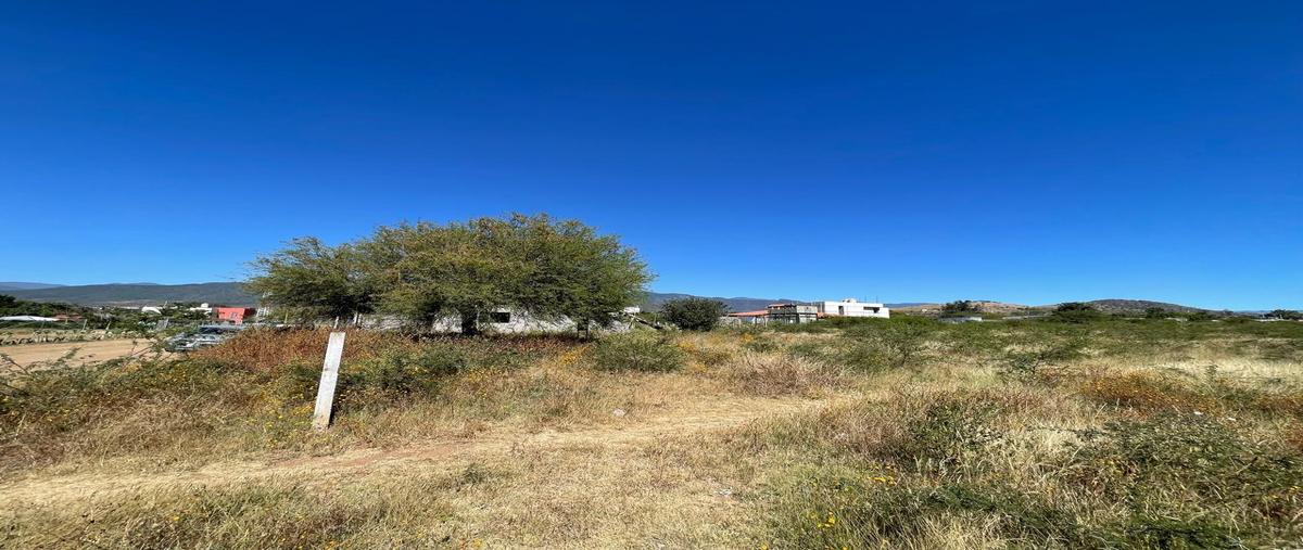 Foto de terreno habitacional en venta en  , san francisco lachigolo, san francisco lachigoló, oaxaca, 0 No. 04