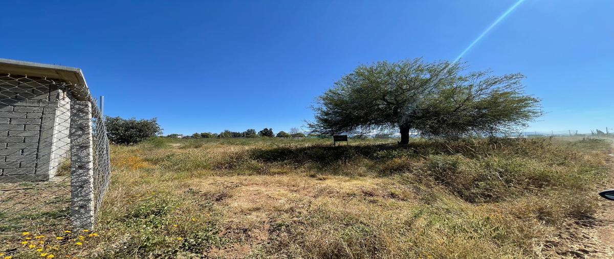 Foto de terreno habitacional en venta en  , san francisco lachigolo, san francisco lachigoló, oaxaca, 0 No. 05