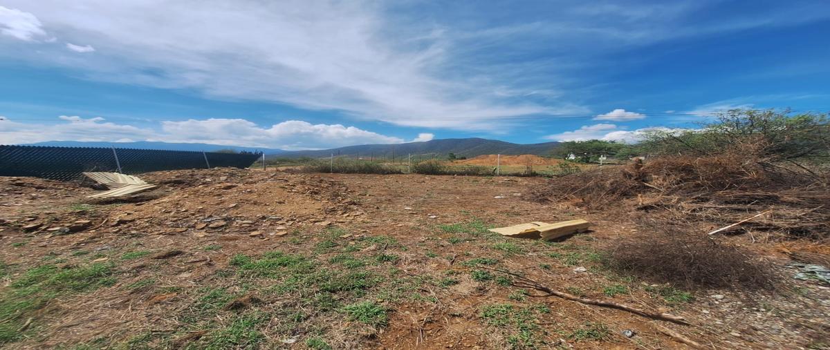 Foto de terreno habitacional en venta en  , san francisco lachigolo, san francisco lachigoló, oaxaca, 0 No. 03