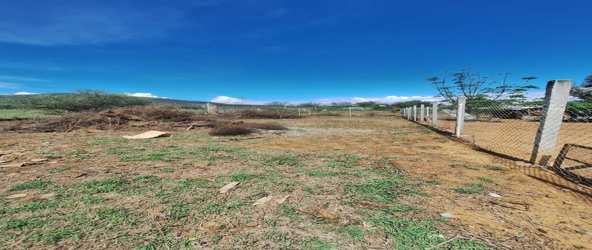 Foto de terreno habitacional en venta en  , san francisco lachigolo, san francisco lachigoló, oaxaca, 0 No. 04