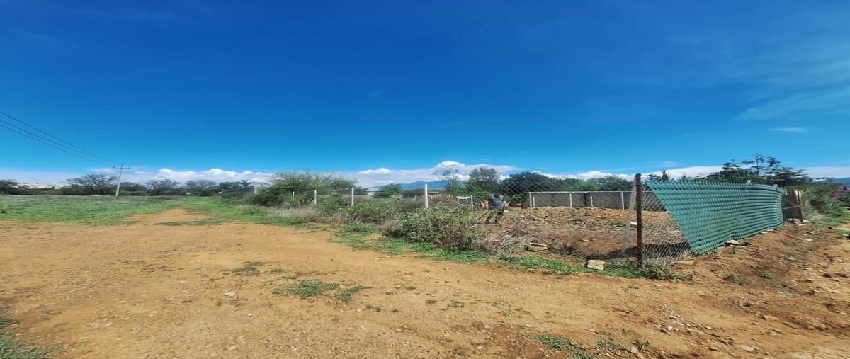 Foto de terreno habitacional en venta en  , san francisco lachigolo, san francisco lachigoló, oaxaca, 0 No. 05