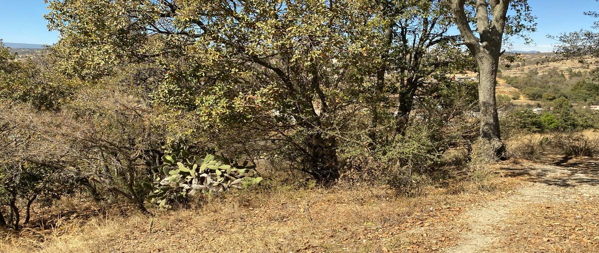 Foto de terreno habitacional en venta en  , san francisco magu, nicolás romero, méxico, 24825127 No. 04