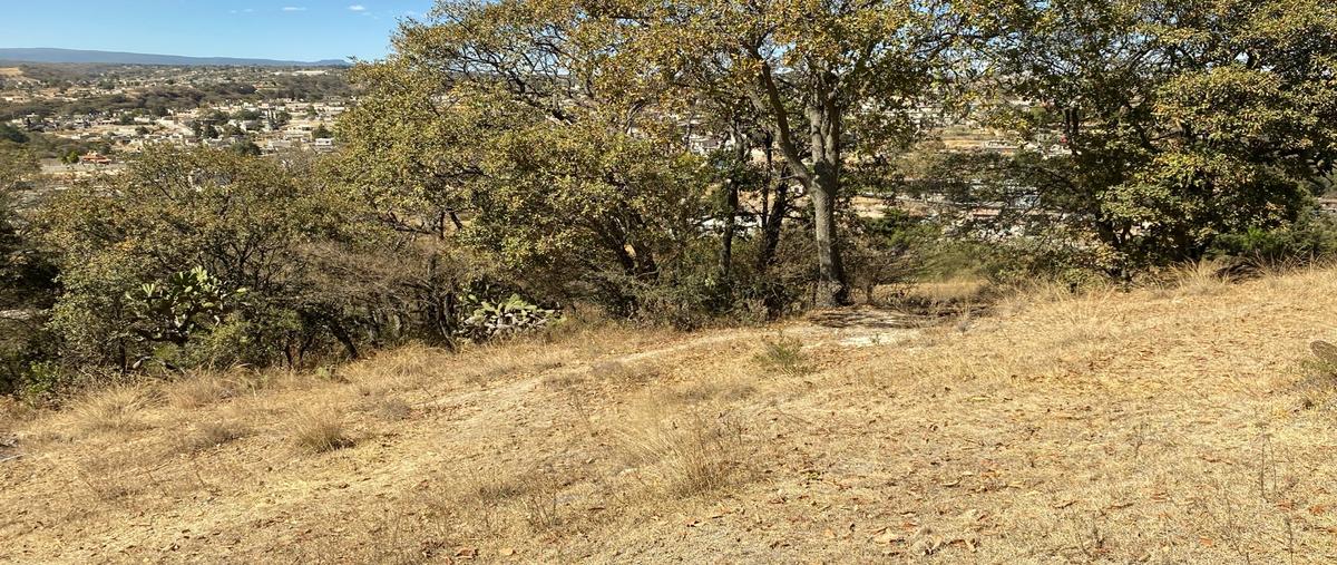 Foto de terreno habitacional en venta en  , san francisco magu, nicolás romero, méxico, 24825127 No. 05