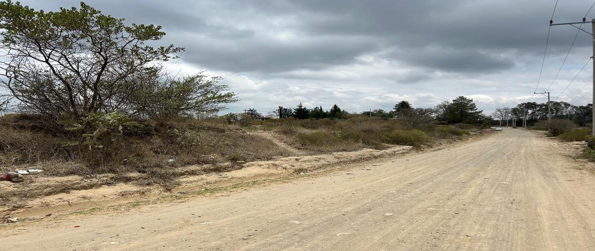 Foto de terreno habitacional en , san francisco magu, nicolás romero, méxico, 0 foto 01 Foto de terreno habitacional en venta en , san francisco magu, nicolás romero, méxico, 0 No. 01