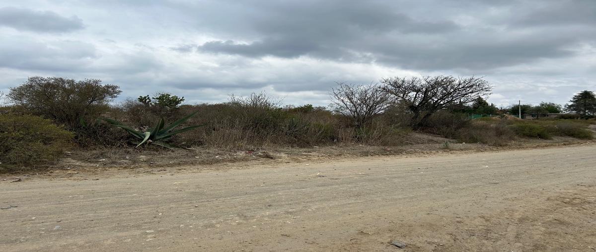 Foto de terreno habitacional en , san francisco magu, nicolás romero, méxico, 0 foto 04 Foto de terreno habitacional en venta en , san francisco magu, nicolás romero, méxico, 0 No. 04