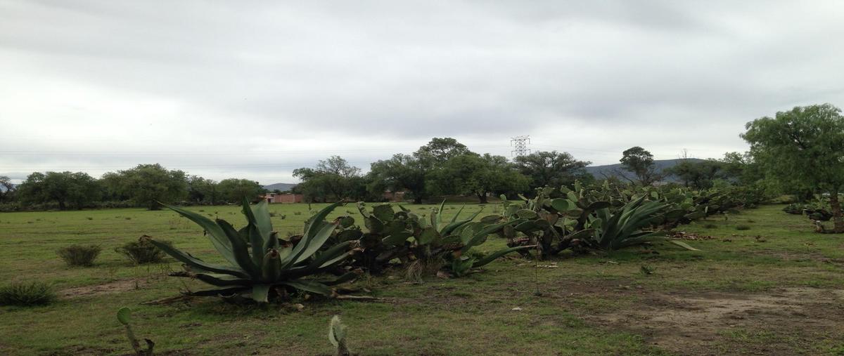 Foto de terreno habitacional en venta en  , san francisco mazapa, teotihuacán, méxico, 0 No. 03