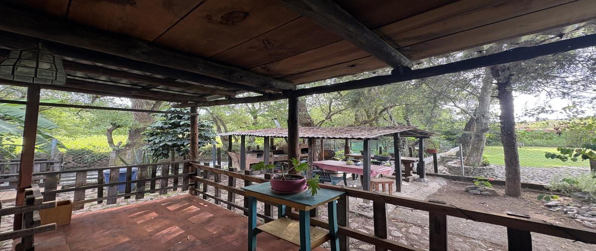 Foto de casa en , san francisco mihualtepec, donato guerra, méxico, 0 foto 04 Foto de casa en renta en , san francisco mihualtepec, donato guerra, méxico, 0 No. 04
