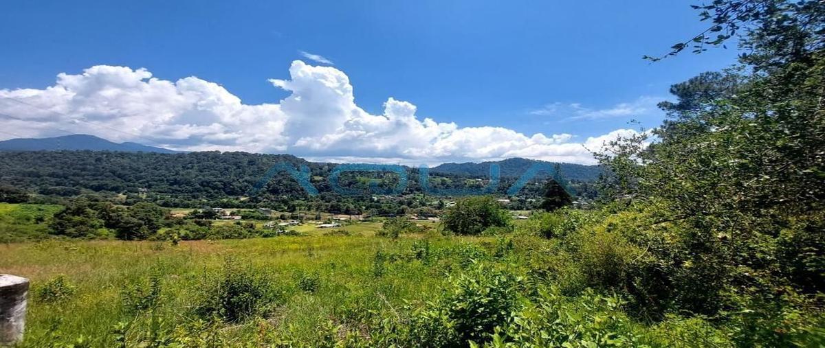 Foto de terreno habitacional en venta en san francisco mihualtepec , valle de bravo, valle de bravo, méxico, 27025298 No. 04