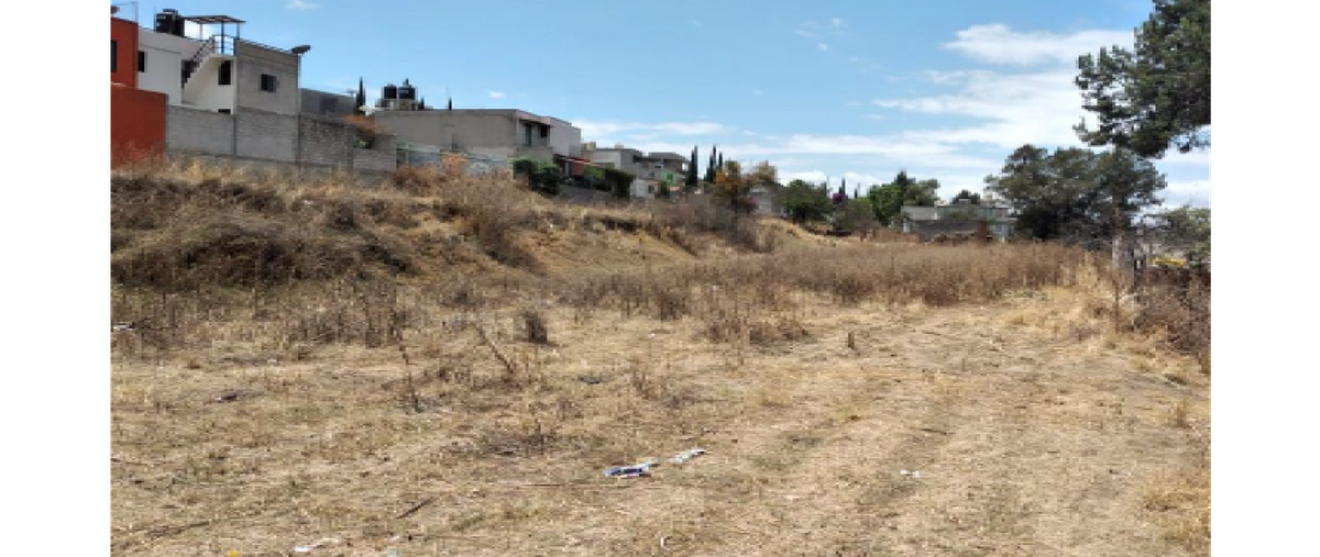 Foto de terreno habitacional en venta en  , san francisco ocotelulco, totolac, tlaxcala, 0 No. 03