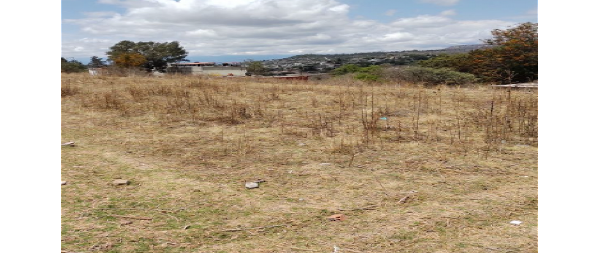 Foto de terreno habitacional en venta en  , san francisco ocotelulco, totolac, tlaxcala, 0 No. 05