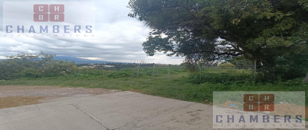 Foto de terreno habitacional en venta en  , san francisco ocotelulco, totolac, tlaxcala, 28903041 No. 04