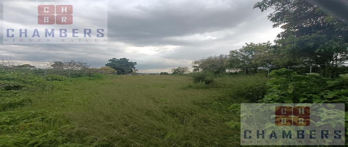 Foto de terreno habitacional en venta en  , san francisco ocotelulco, totolac, tlaxcala, 28903041 No. 05