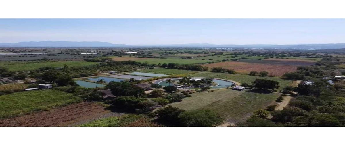 Foto de terreno habitacional en venta en  , san francisco rancho nuevo, acatlán, puebla, 0 No. 03