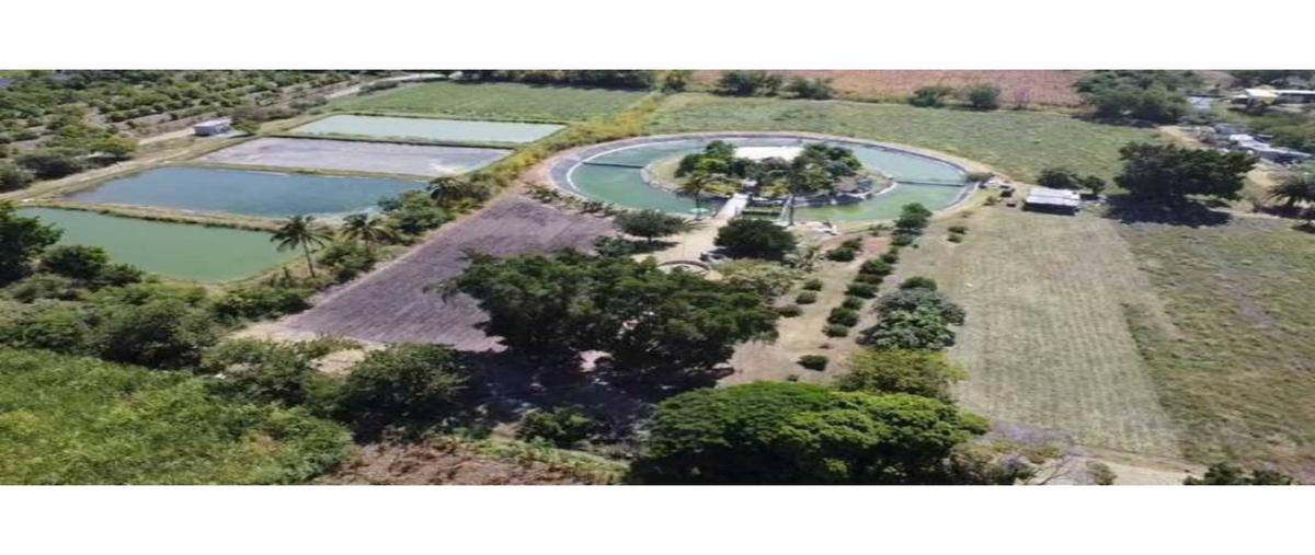 Foto de terreno habitacional en venta en  , san francisco rancho nuevo, acatlán, puebla, 0 No. 04