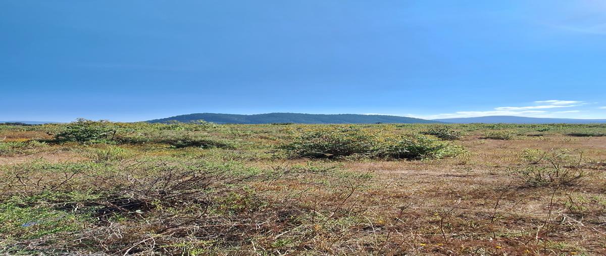 Foto de terreno habitacional en venta en san francisco , san francisco mihualtepec, donato guerra, méxico, 28869645 No. 04