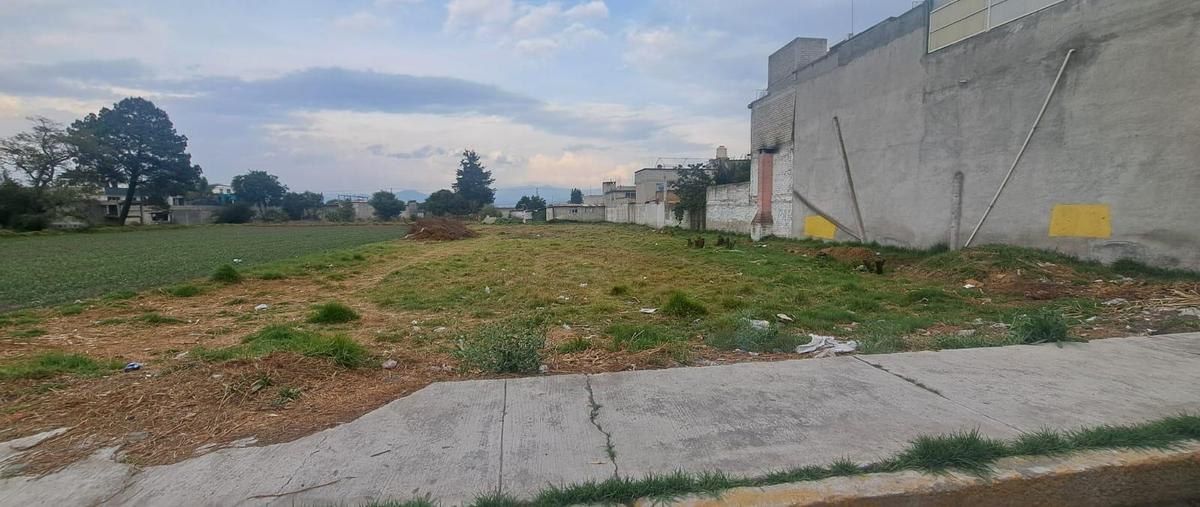 Foto de terreno habitacional en venta en  , san francisco, san mateo atenco, méxico, 0 No. 05
