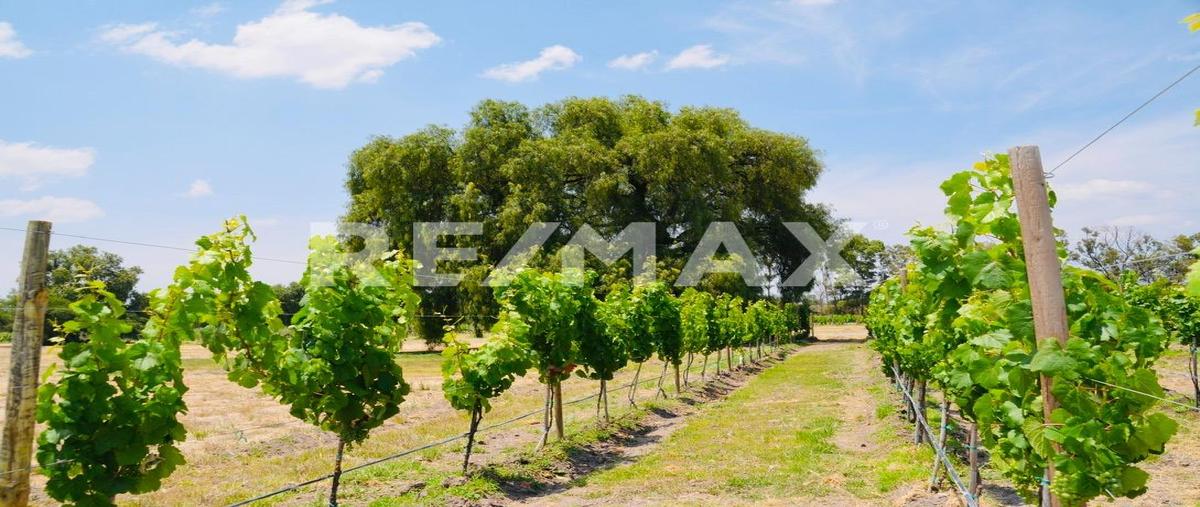 Foto de terreno habitacional en venta en san francisco san miguel de allende , san lucas, san miguel de allende, guanajuato, 0 No. 05
