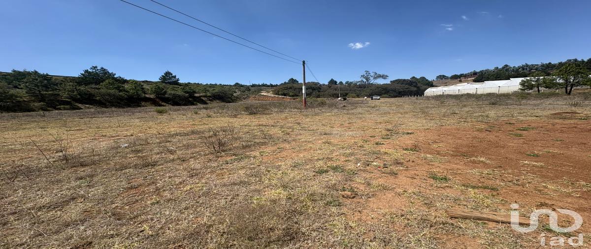 Foto de terreno habitacional en san francisco , san pedro tlachichilco, acaxochitlán, hidalgo, 0 foto 03 Foto de terreno habitacional en venta en san francisco , san pedro tlachichilco, acaxochitlán, hidalgo, 0 No. 03