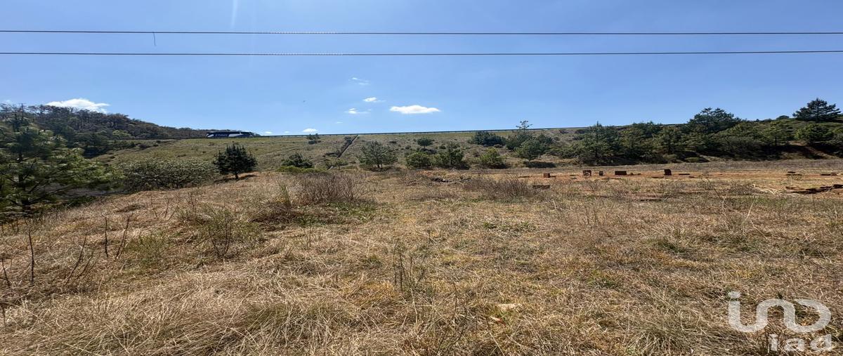 Foto de terreno habitacional en san francisco , san pedro tlachichilco, acaxochitlán, hidalgo, 0 foto 05 Foto de terreno habitacional en venta en san francisco , san pedro tlachichilco, acaxochitlán, hidalgo, 0 No. 05