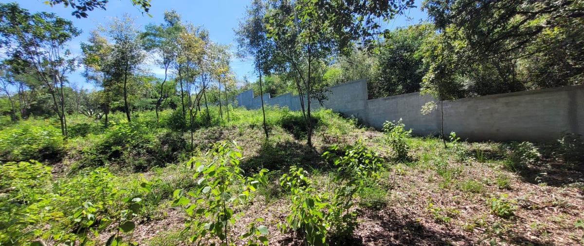 Foto de terreno habitacional en venta en  , san francisco, santiago, nuevo león, 30124463 No. 03
