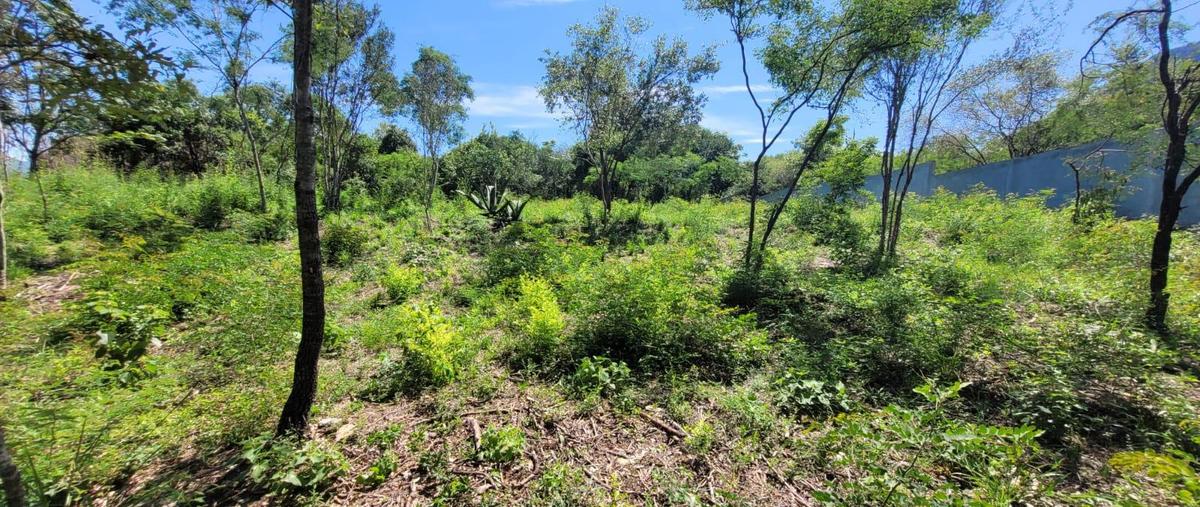 Foto de terreno habitacional en venta en  , san francisco, santiago, nuevo león, 30124463 No. 04
