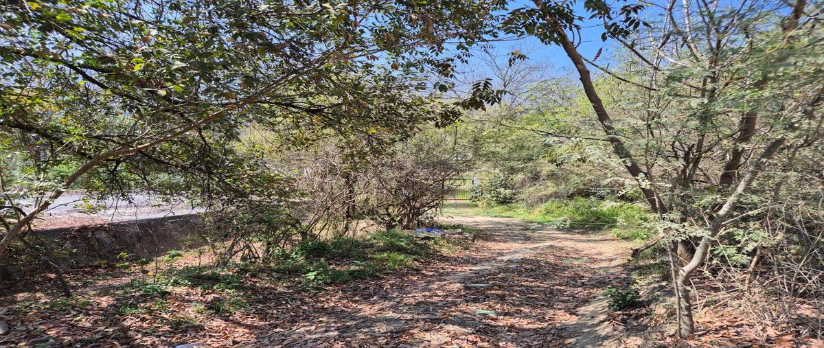 Foto de terreno habitacional en venta en  , san francisco, santiago, nuevo león, 0 No. 04