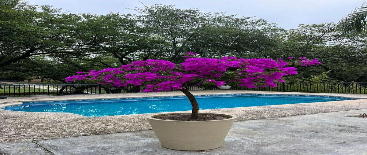 Foto de casa en renta en  , san francisco, santiago, nuevo león, 0 No. 04