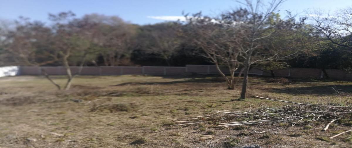 Foto de terreno habitacional en venta en san francisco, santiago, nuevo león, 67312 , san francisco, santiago, nuevo león, 26156945 No. 03