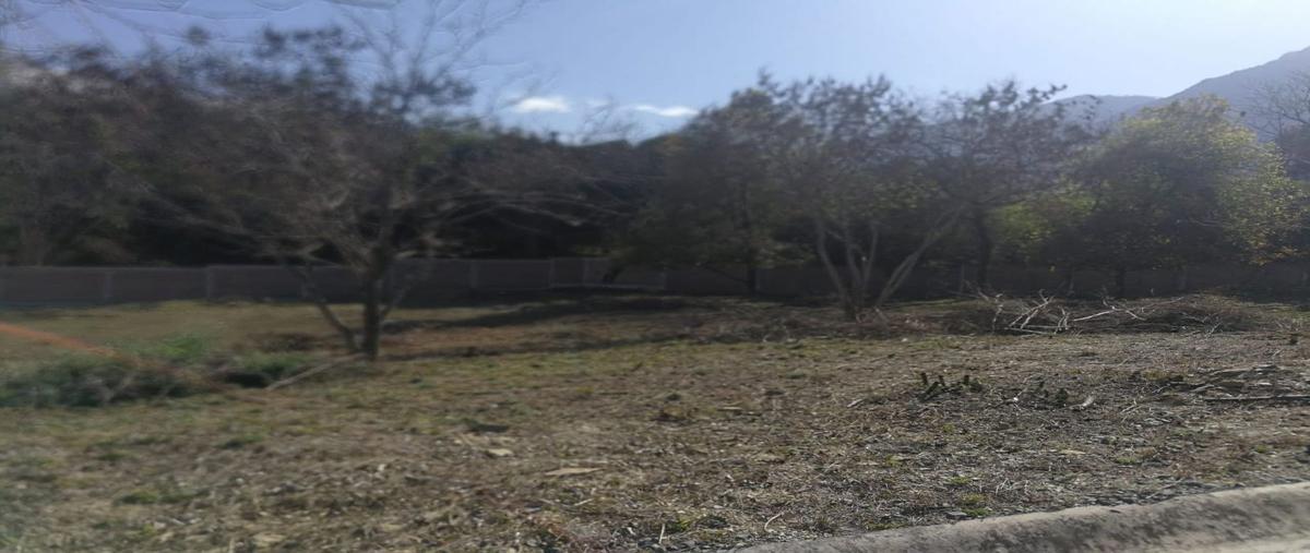 Foto de terreno habitacional en venta en san francisco, santiago, nuevo león, 67312 , san francisco, santiago, nuevo león, 26156945 No. 05