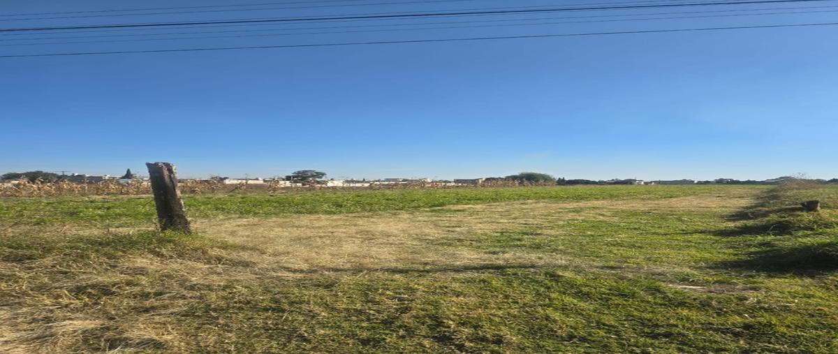 Foto de terreno habitacional en venta en  , san francisco tepeyac, san martín texmelucan, puebla, 0 No. 03
