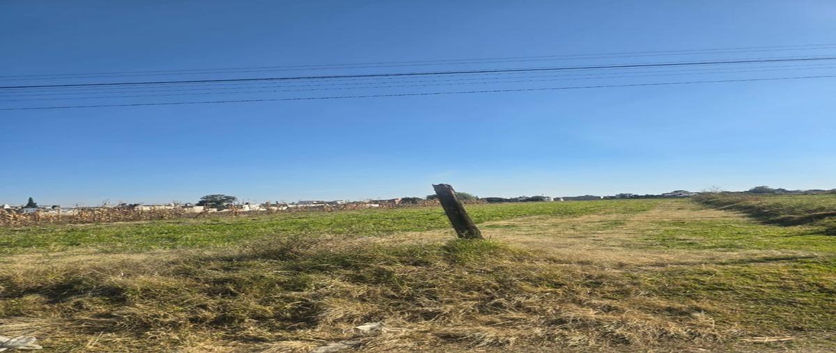 Foto de terreno habitacional en venta en  , san francisco tepeyac, san martín texmelucan, puebla, 0 No. 04