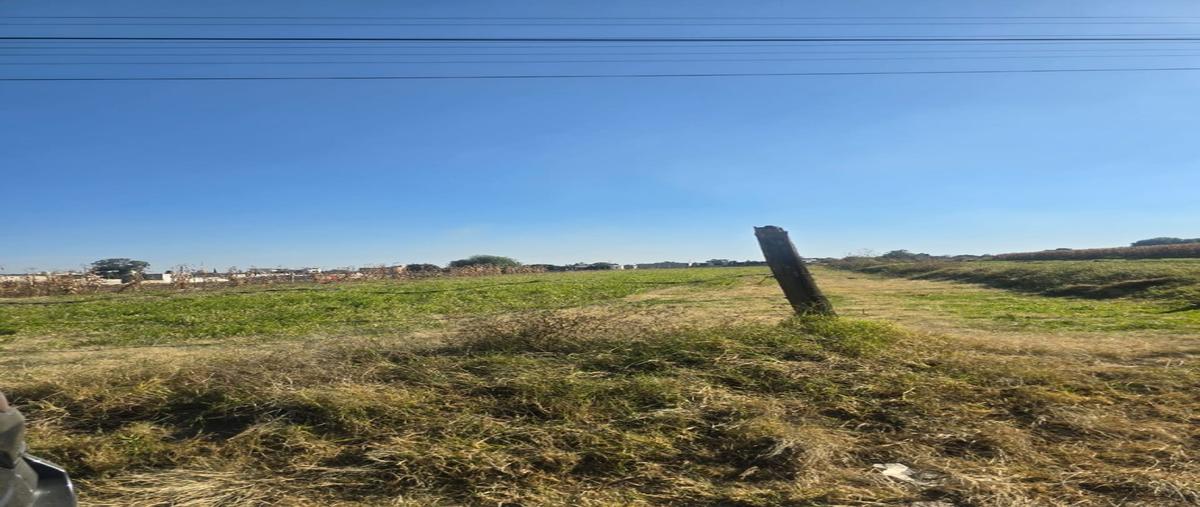Foto de terreno habitacional en venta en  , san francisco tepeyac, san martín texmelucan, puebla, 0 No. 05