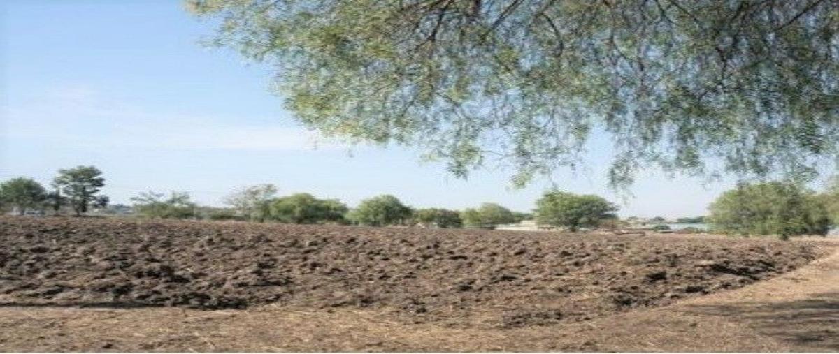 Foto de terreno habitacional en venta en  , san francisco tepojaco, cuautitlán izcalli, méxico, 26005010 No. 05