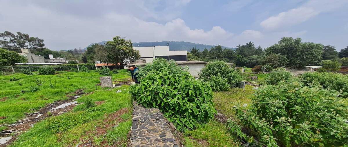Foto de terreno habitacional en venta en  , san francisco tlalnepantla, xochimilco, df / cdmx, 30491436 No. 03