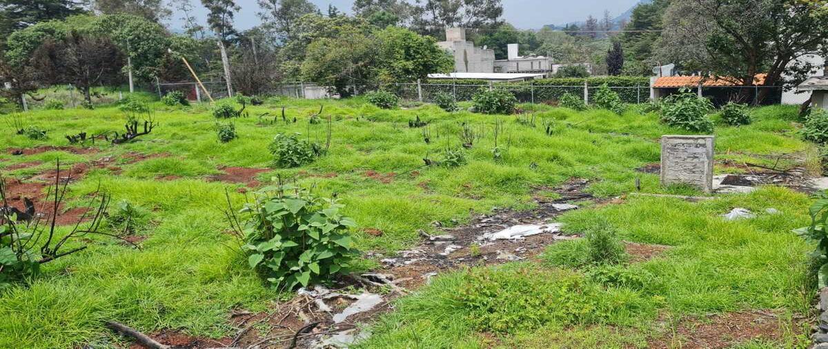 Foto de terreno habitacional en venta en  , san francisco tlalnepantla, xochimilco, df / cdmx, 30491436 No. 04