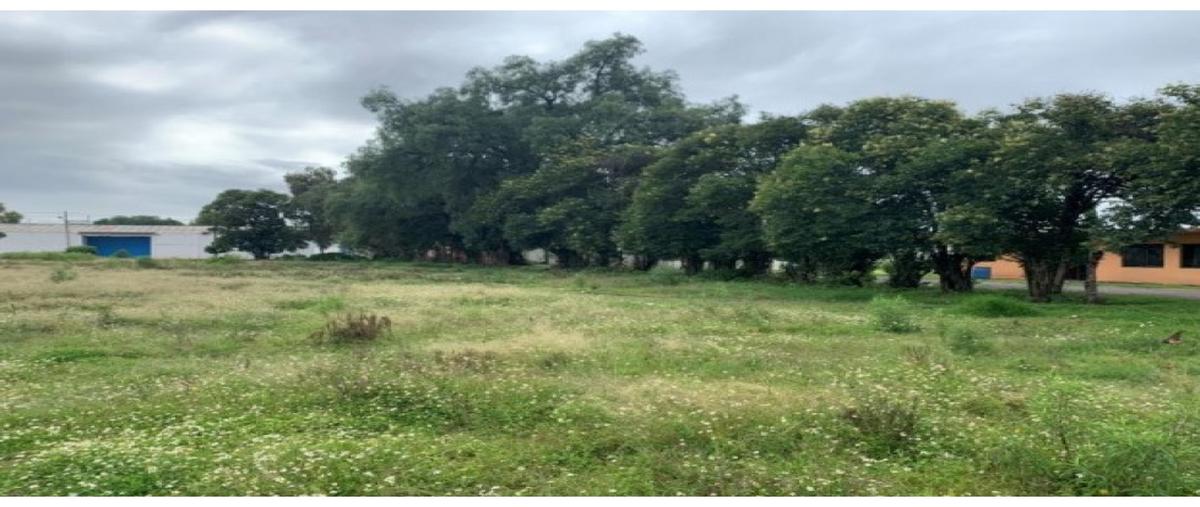 Foto de terreno habitacional en venta en  , san francisco totimehuacan, puebla, puebla, 0 No. 04