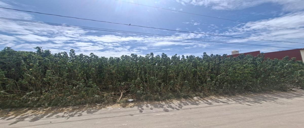 Foto de terreno habitacional en venta en  , san francisco totimehuacan, puebla, puebla, 0 No. 03