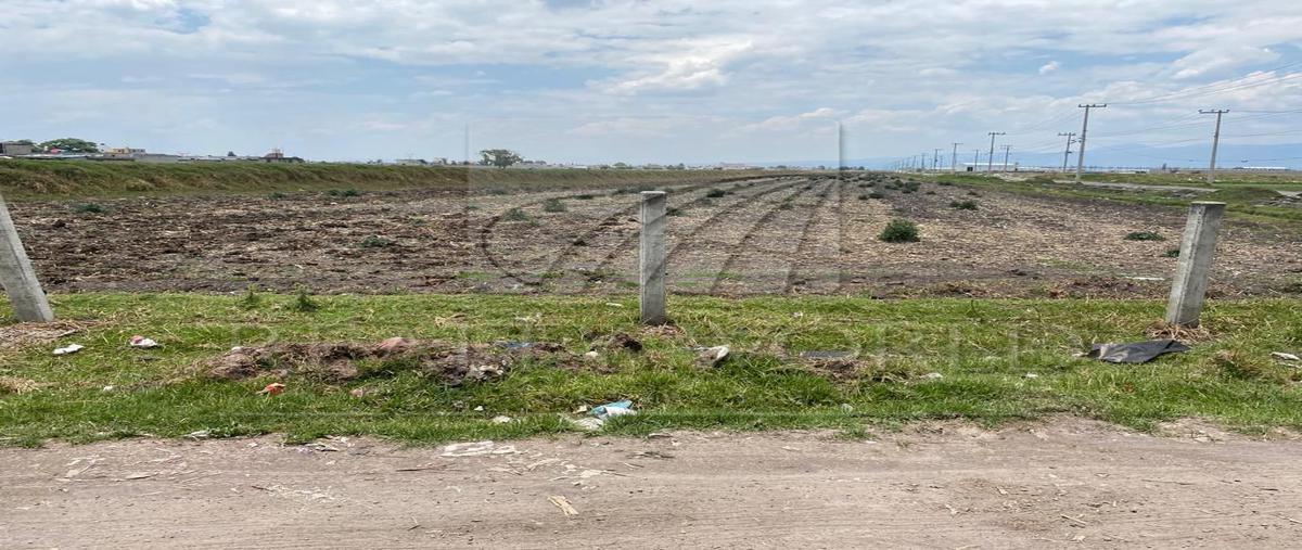 Foto de terreno industrial en venta en  , san francisco totoltepec, toluca, méxico, 26483556 No. 04