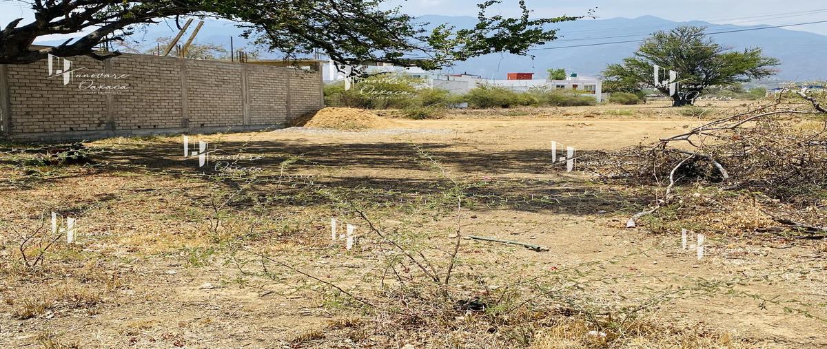 Foto de terreno habitacional en venta en  , san francisco tutla, santa lucía del camino, oaxaca, 30679186 No. 03