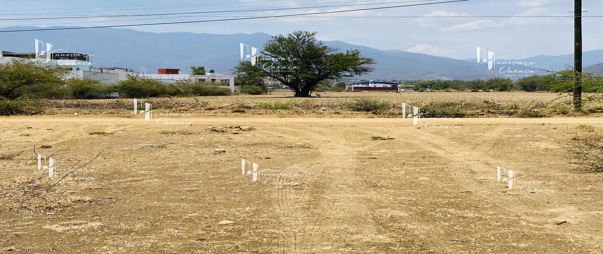 Foto de terreno habitacional en venta en  , san francisco tutla, santa lucía del camino, oaxaca, 30679186 No. 05