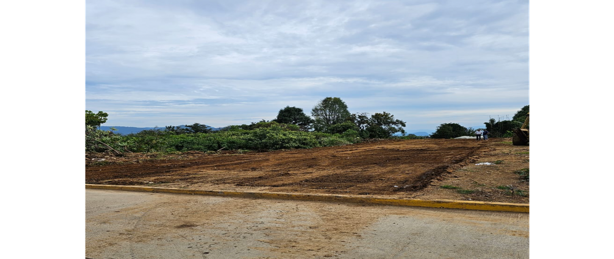 Foto de terreno habitacional en venta en  , san francisco, villa guerrero, méxico, 0 No. 03