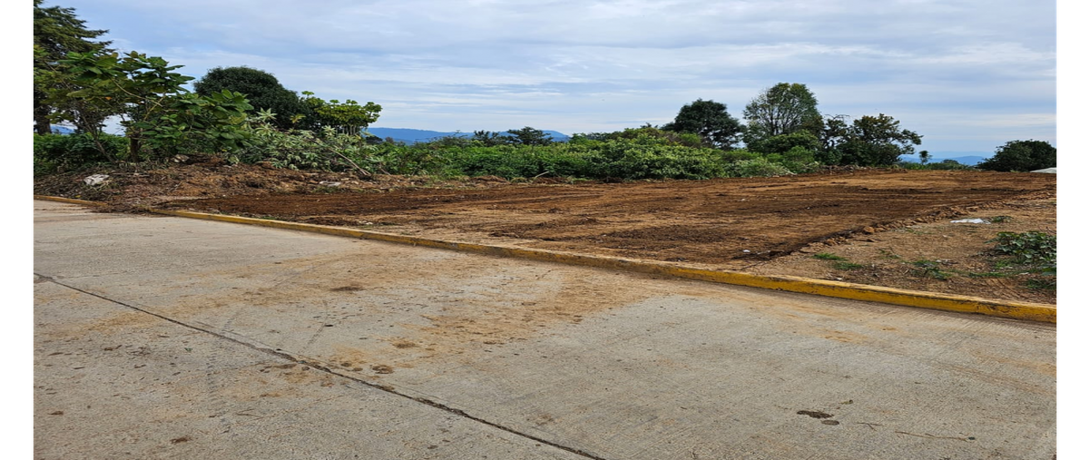 Foto de terreno habitacional en venta en  , san francisco, villa guerrero, méxico, 0 No. 05
