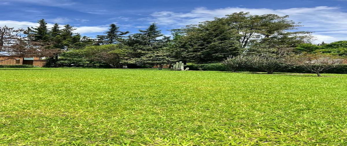 Foto de terreno habitacional en venta en  , san francisco, villa guerrero, méxico, 0 No. 04
