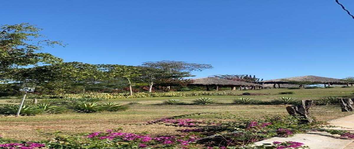 Foto de terreno habitacional en venta en  , san francisquito, mazatlán, sinaloa, 0 No. 03