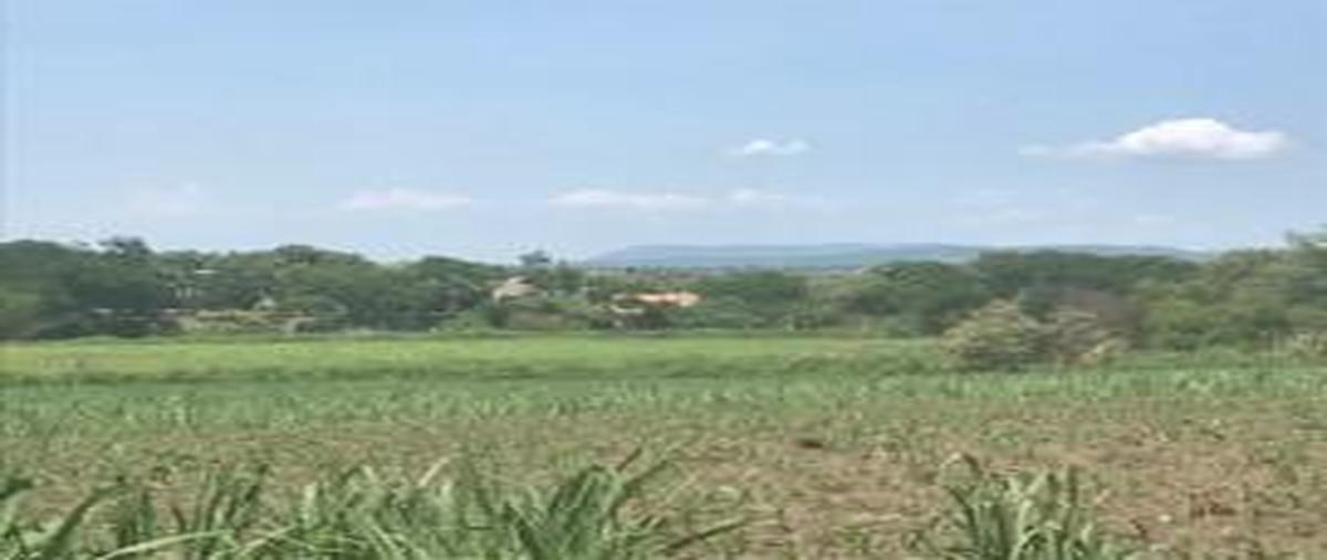 Foto de terreno habitacional en venta en  , san gabriel de las palmas, amacuzac, morelos, 0 No. 04
