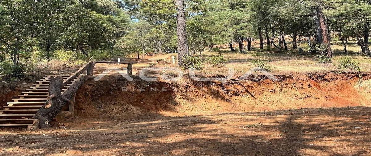 Foto de terreno habitacional en san gabriel ixtla , san gabriel ixtla, valle de bravo, méxico, 0 foto 06 Foto de terreno habitacional en venta en san gabriel ixtla , san gabriel ixtla, valle de bravo, méxico, 0 No. 06