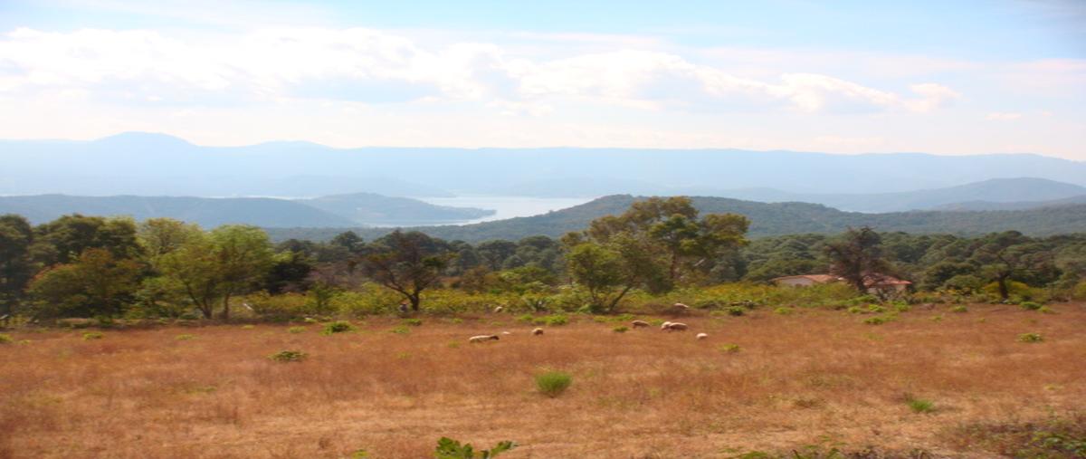 Foto de terreno habitacional en venta en san gabriel ixtla , san gabriel ixtla, valle de bravo, méxico, 5723667 No. 03