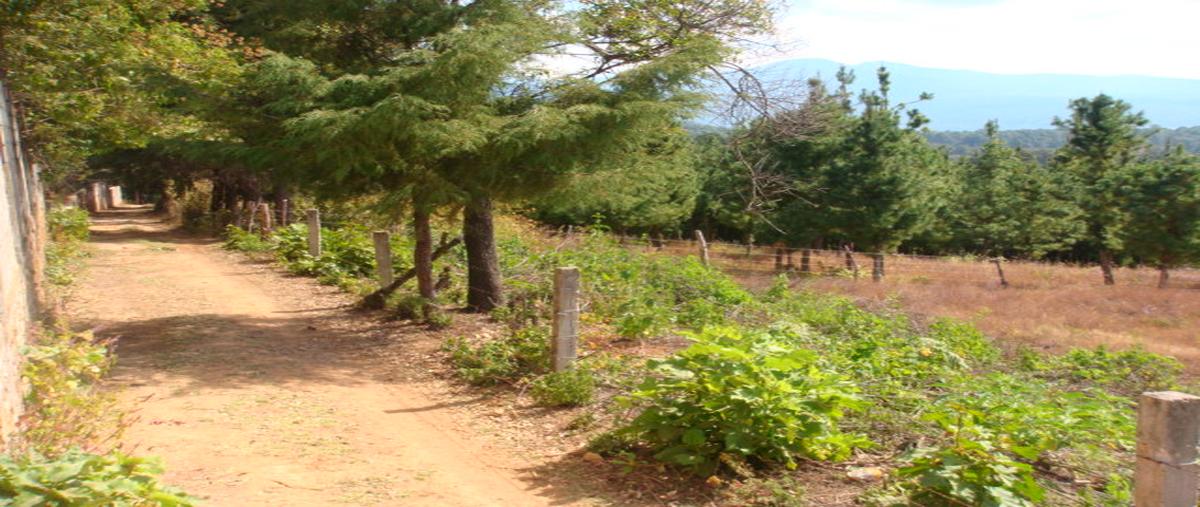 Foto de terreno habitacional en venta en san gabriel ixtla , san gabriel ixtla, valle de bravo, méxico, 5723667 No. 04