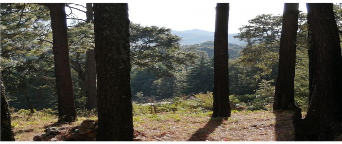 Foto de terreno habitacional en , san gabriel ixtla, valle de bravo, méxico, 28216273 foto 02 Foto de terreno habitacional en venta en , san gabriel ixtla, valle de bravo, méxico, 28216273 No. 02