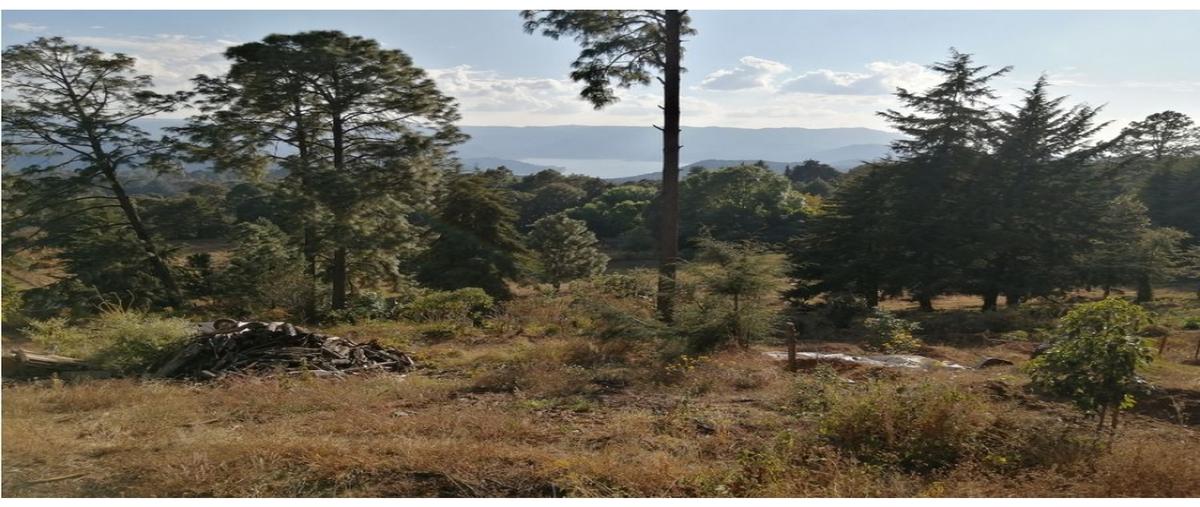 Foto de terreno habitacional en , san gabriel ixtla, valle de bravo, méxico, 28216273 foto 04 Foto de terreno habitacional en venta en , san gabriel ixtla, valle de bravo, méxico, 28216273 No. 04